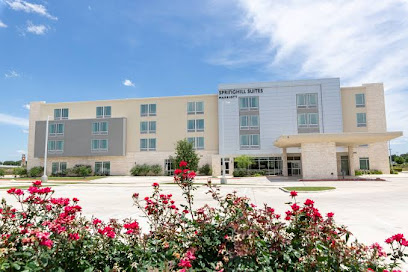 SpringHill Suites by Marriott Austin Cedar Park